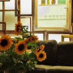 20110711-194444-blog 20110711-194444-blog